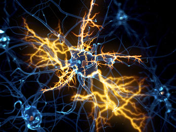 neuron