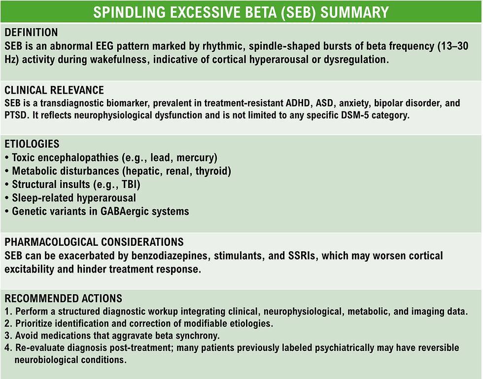 SEB Summary