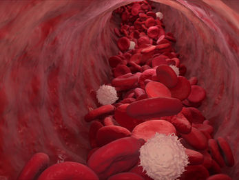 BCIA Essential Skills: Blood Volume Pulse