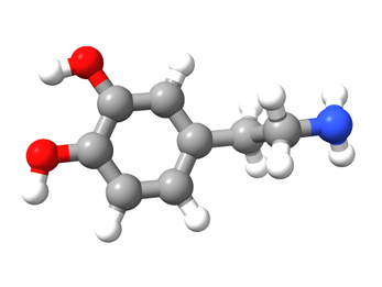 A Painlessly Brief History of Dopamine