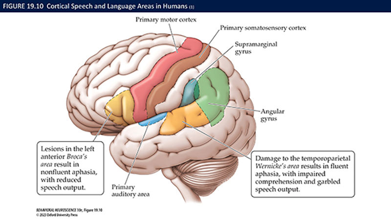 Slide33