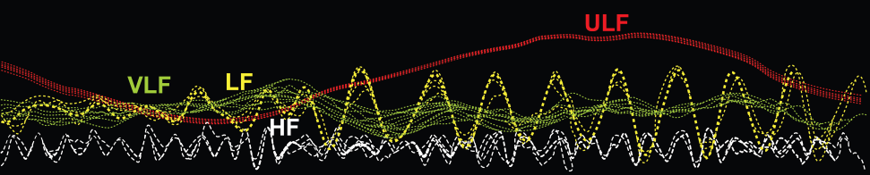 HRV frequencies