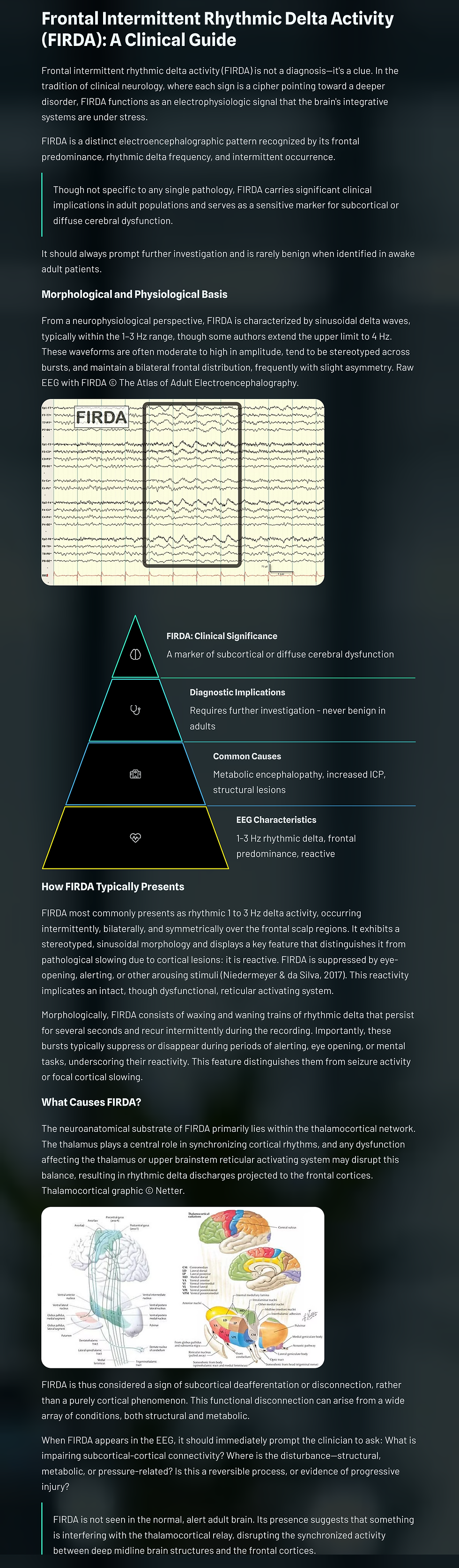 Infographic