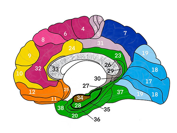 2_28,34_.jpg