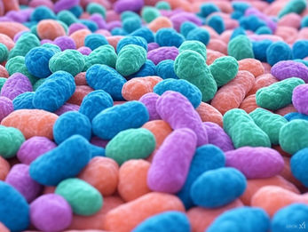 5-Min Science: The Gut Microbiome in Serious Mental Illnesses