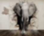 Elephant in the room
