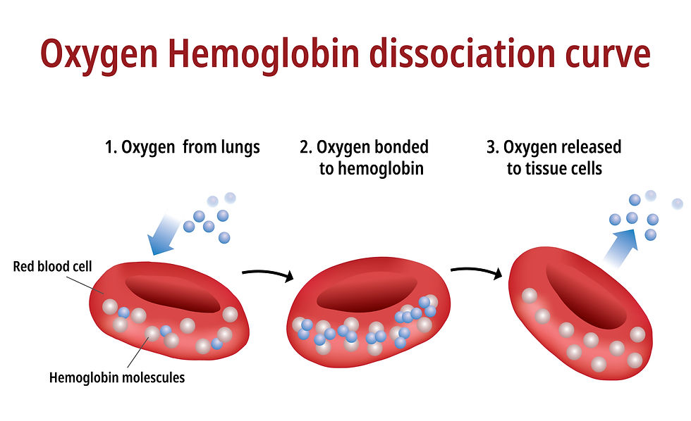hemoglobin