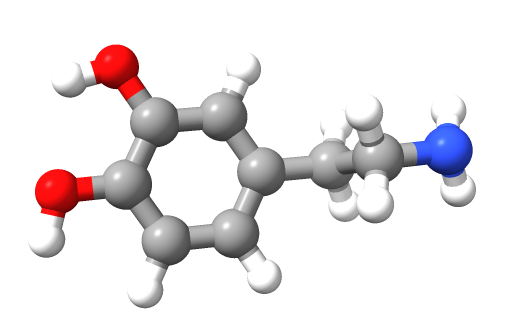 dopamine