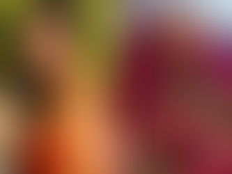 Quem é Rayane Figliuzzi? Nova namorada de Belo tem um passado polêmico