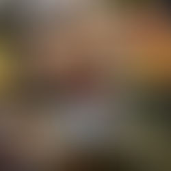 신개념 고기포차 ‘불대포’ 창업 파격 특전 제공! 수익성은 어떻게 될까?