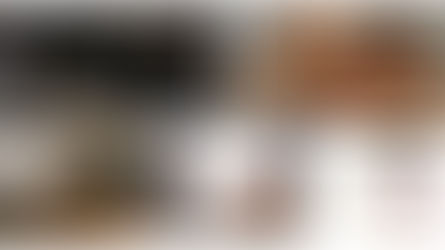 ‘히코코 커피’ 카페 창업은 물론 프랜차이즈 통틀어 30개 직영점 매장의 위엄