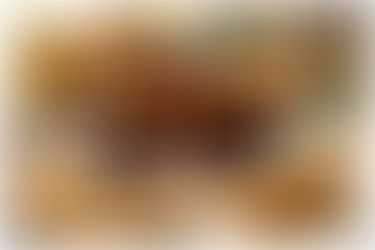실내포장마차 ‘삼구포차’가 성공 매장이 많은 이유는?