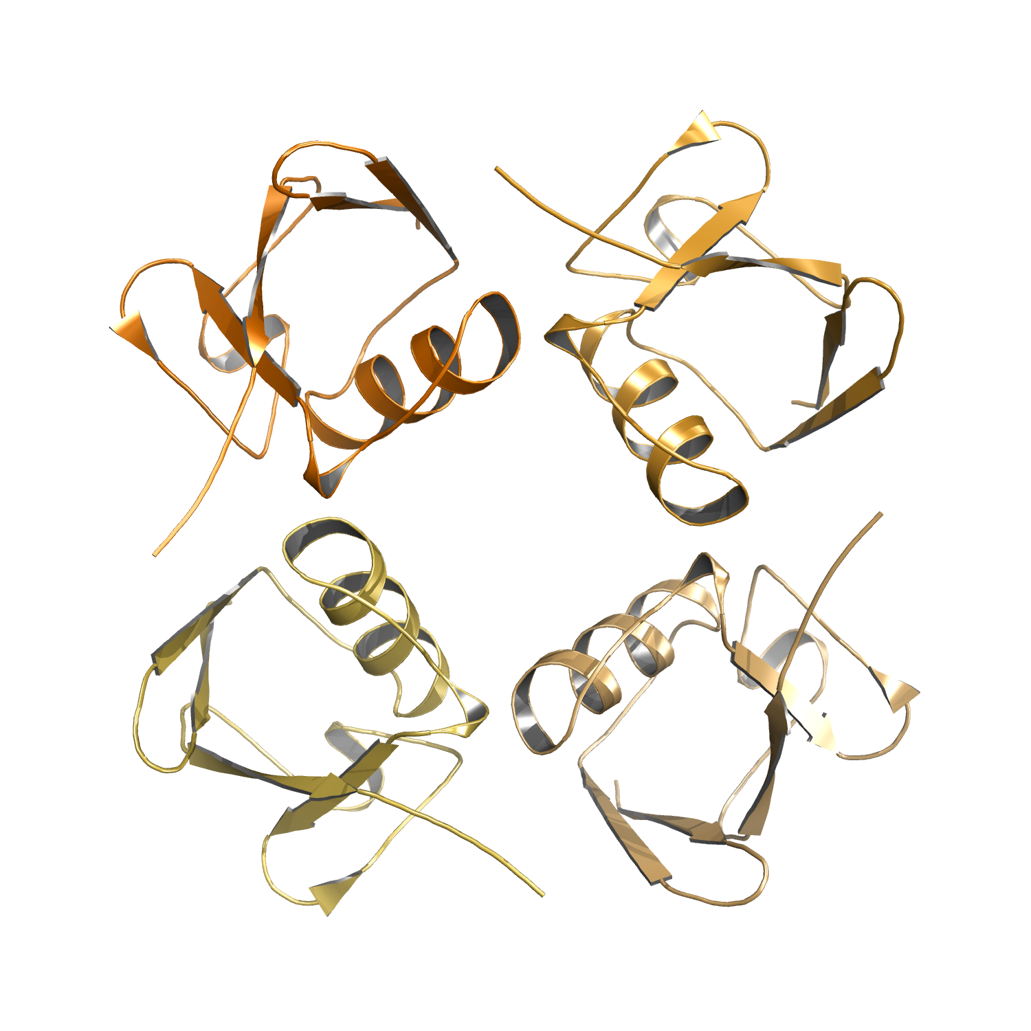 K11-Like di / tetra-Ubiquitin