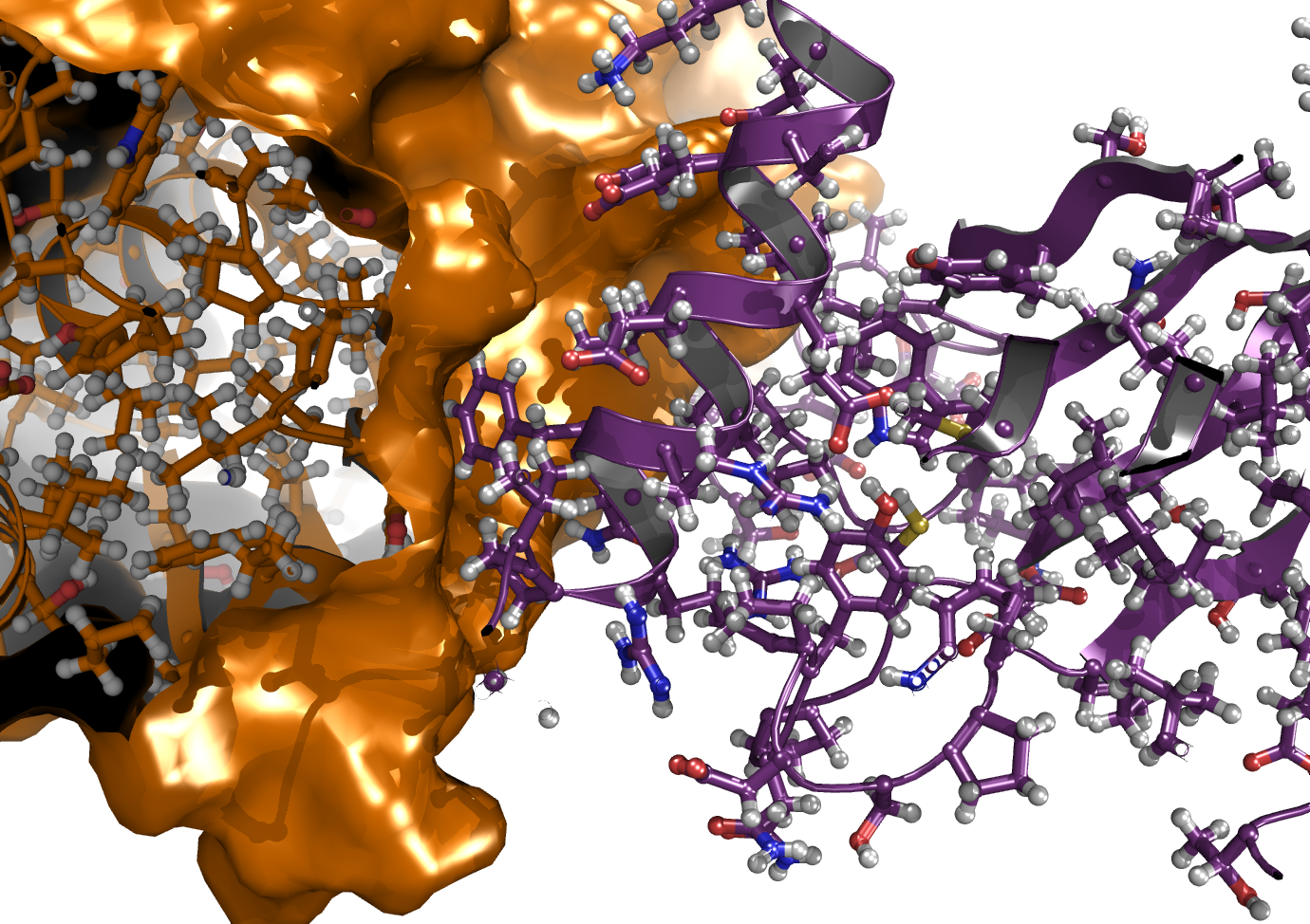 ubc13_mms2