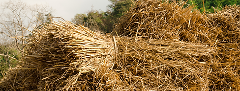 AtoANI Facebook Cover-2.png