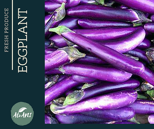 Eggplant