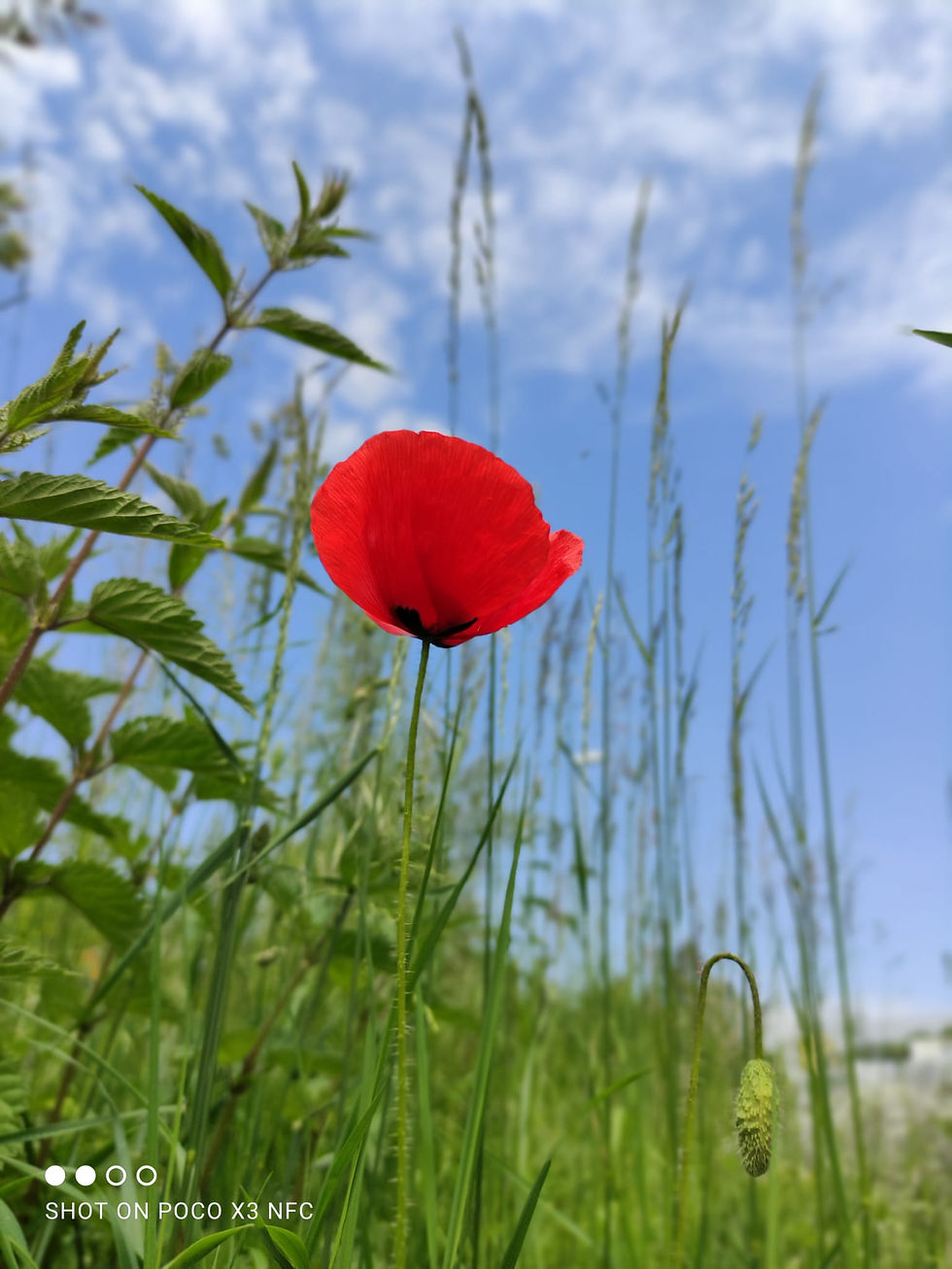 Retreat mit Yoga, Secret Dance und Tee