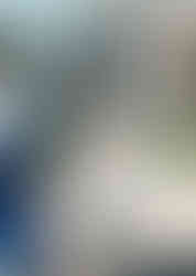 Първи международен симпозиум по скулптура, организиран от галерия "Видима"