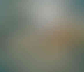 Галерия "Леседра"