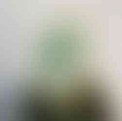 Василена Кенарева, Деян Никифоров