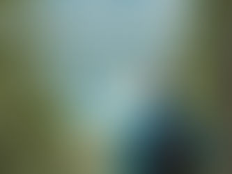 ADVENTURE AWAITS: EXPLORING THE OUTDOORS AT WHITE OAKS CABINS