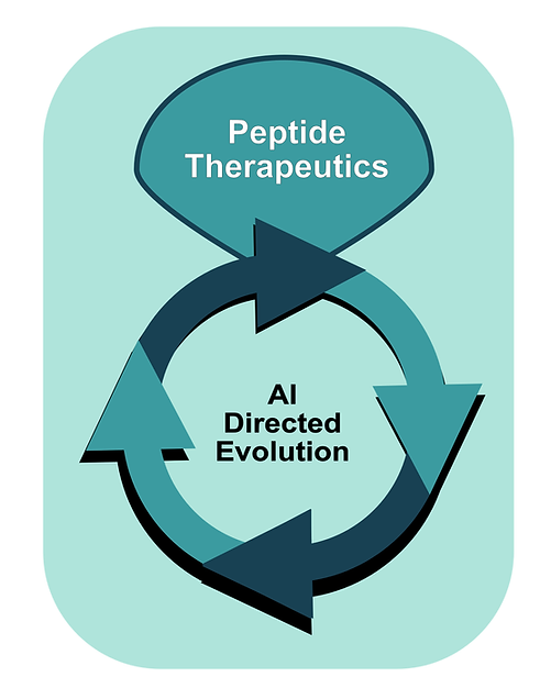 Depiction of AI Directed Evolution Generating Peptide Therapeutics