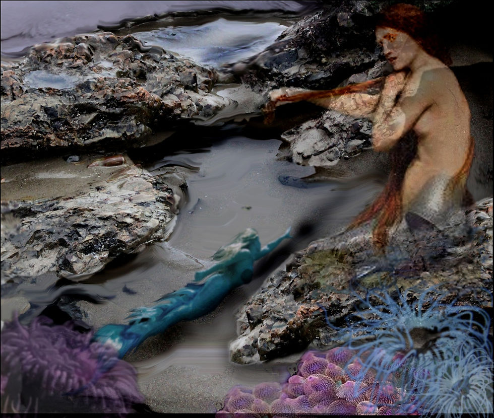 Mermaid on the rock