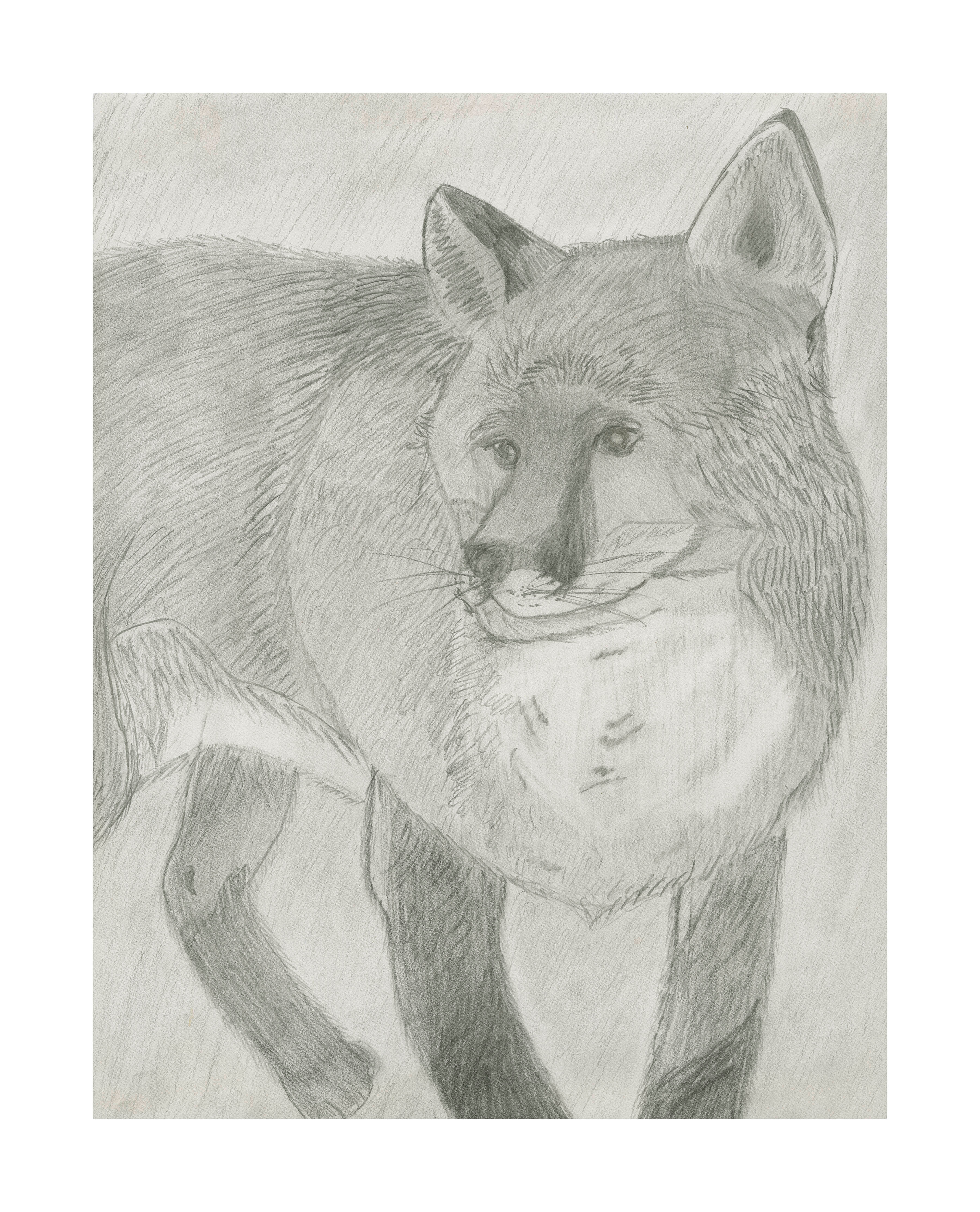 #21 Leylie Ammeraal 11x13 6th Grade