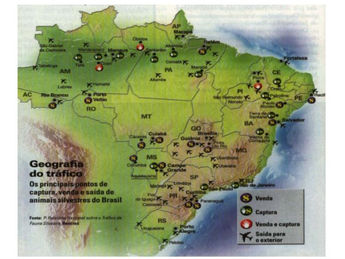 Os principais dados sobre o tráfico de animais silvestres