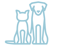 custom-Blue.gif