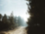 Seasonal Affective Disorder and Homeopathy