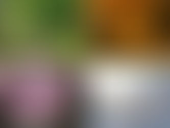 Immune System Changes With the Seasons and Homeopathy for Seasonal Immune System Support