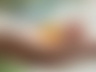 Stress hormones and homeopathy