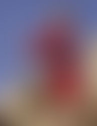 Лицом рекламной кампании Longchamp стала нежная и загадочная Kendall Jenner