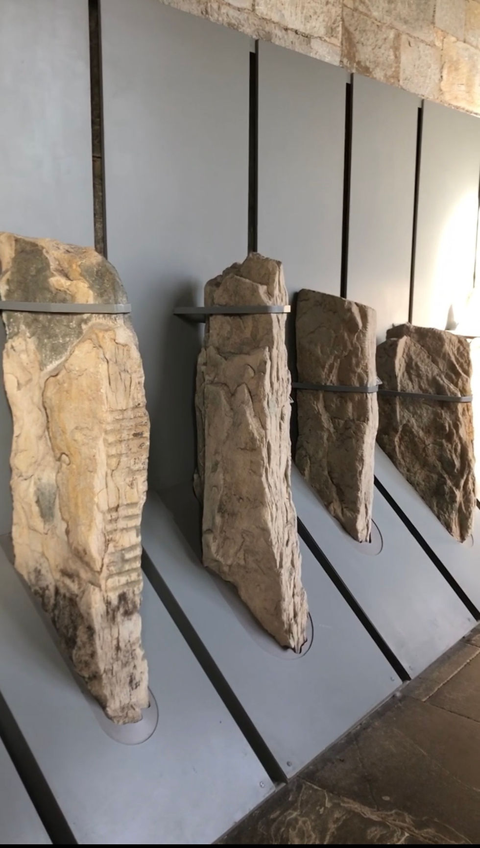 Ancient stone carvings displayed on museum wall panels.