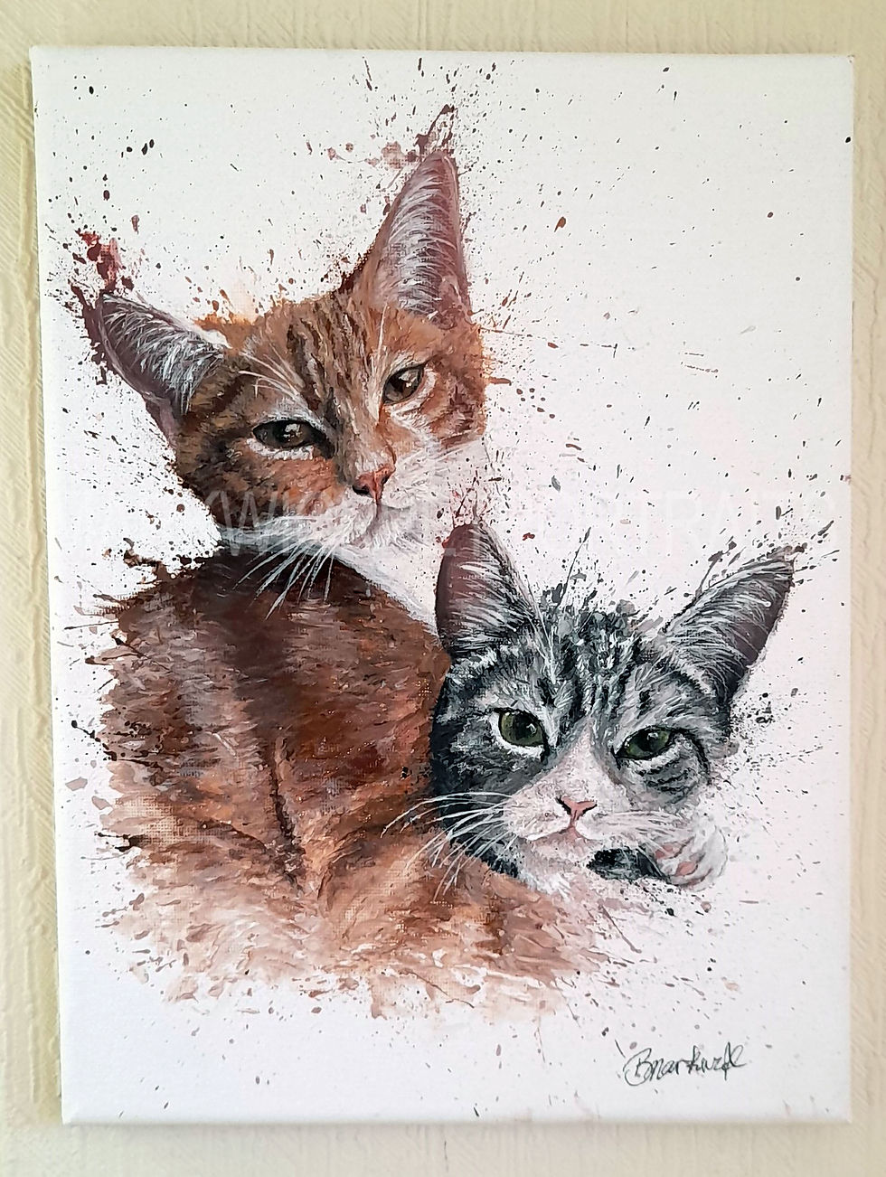 2 cats together