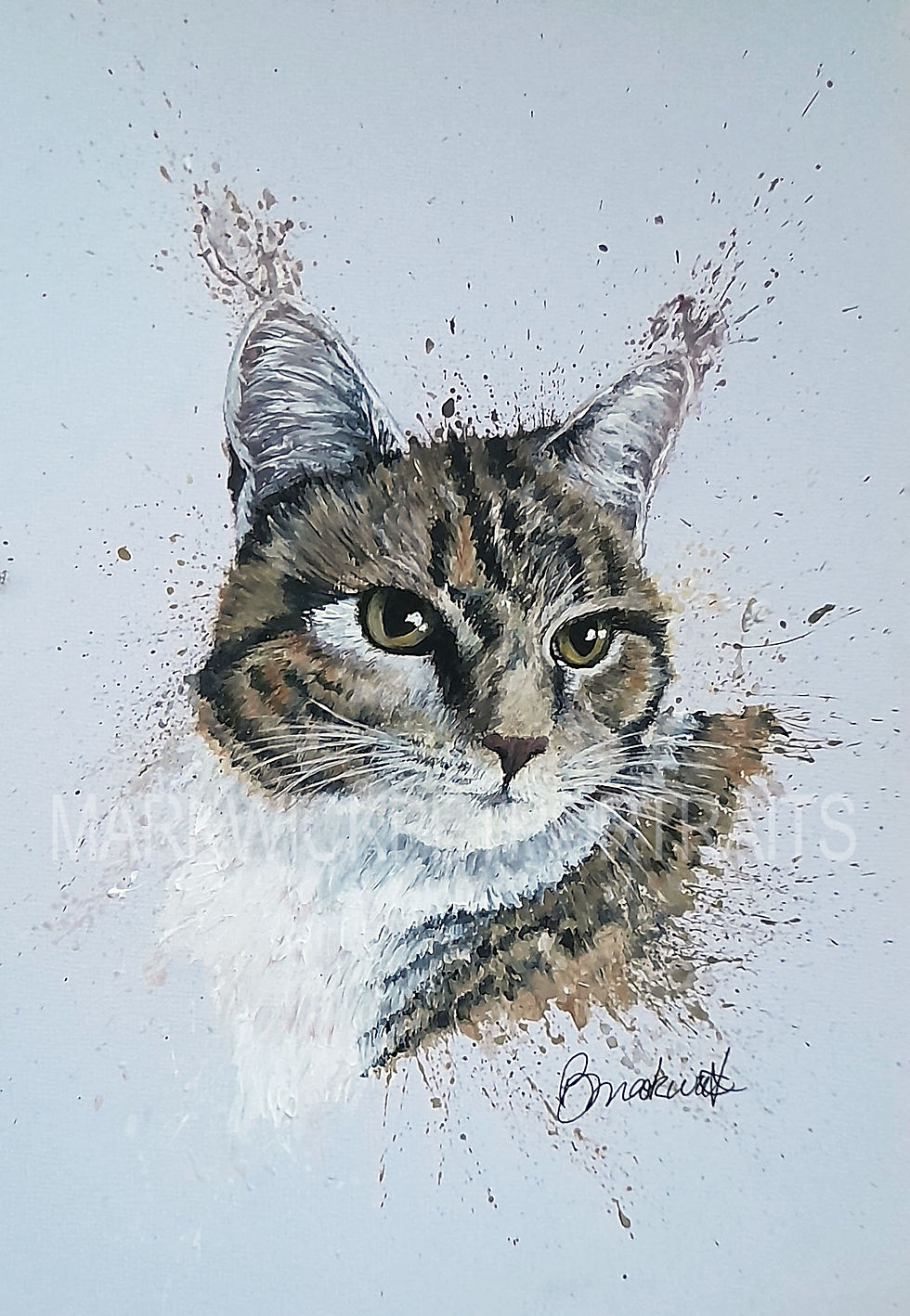 Tabby Cat