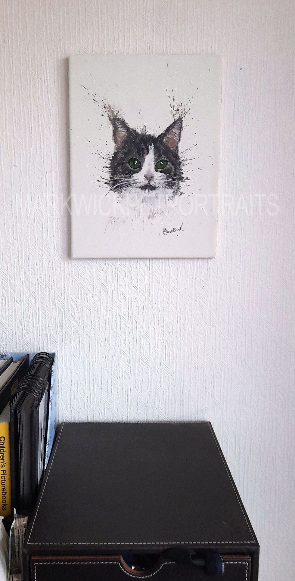 'Bright Eyes' Cat