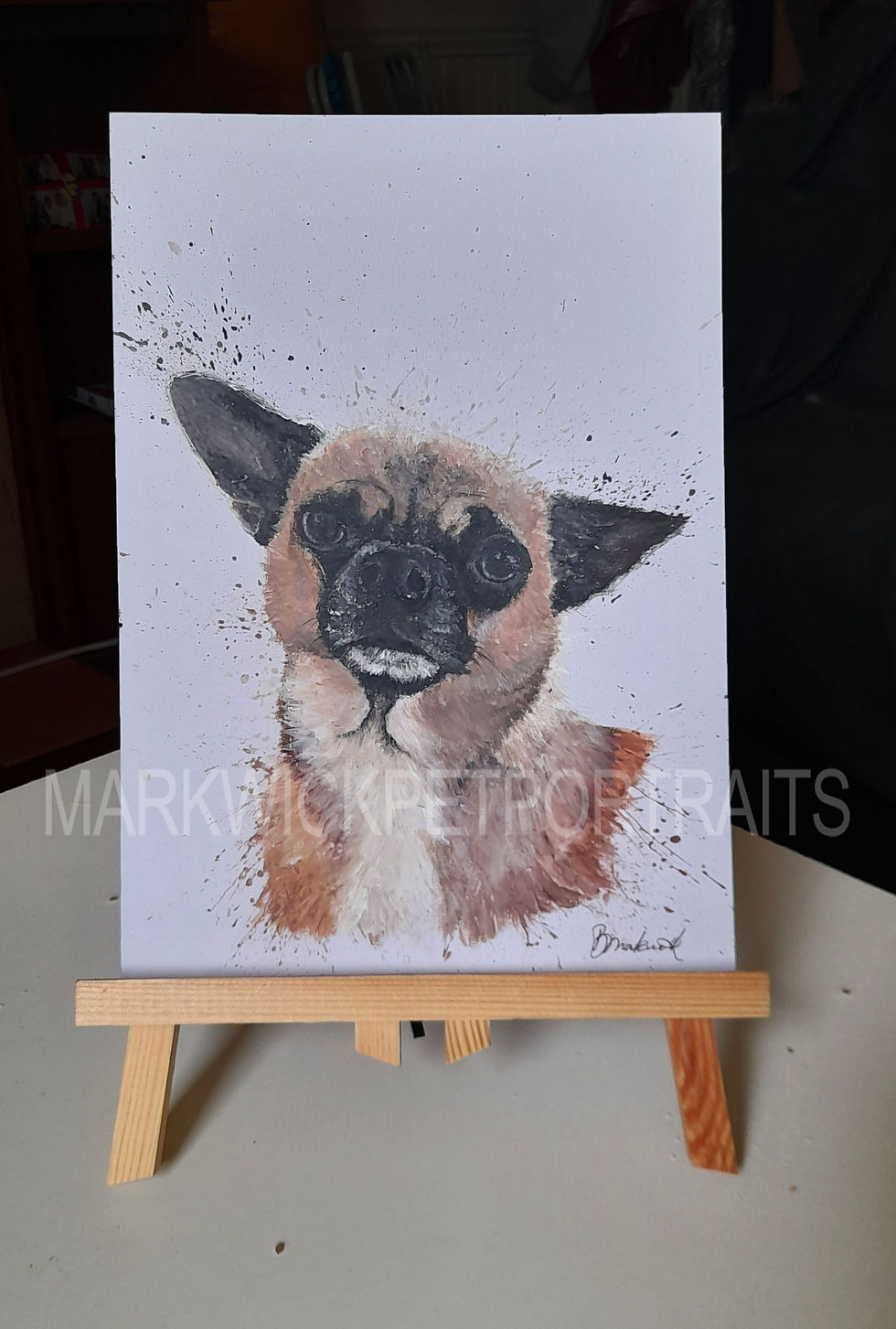 Pug Dog