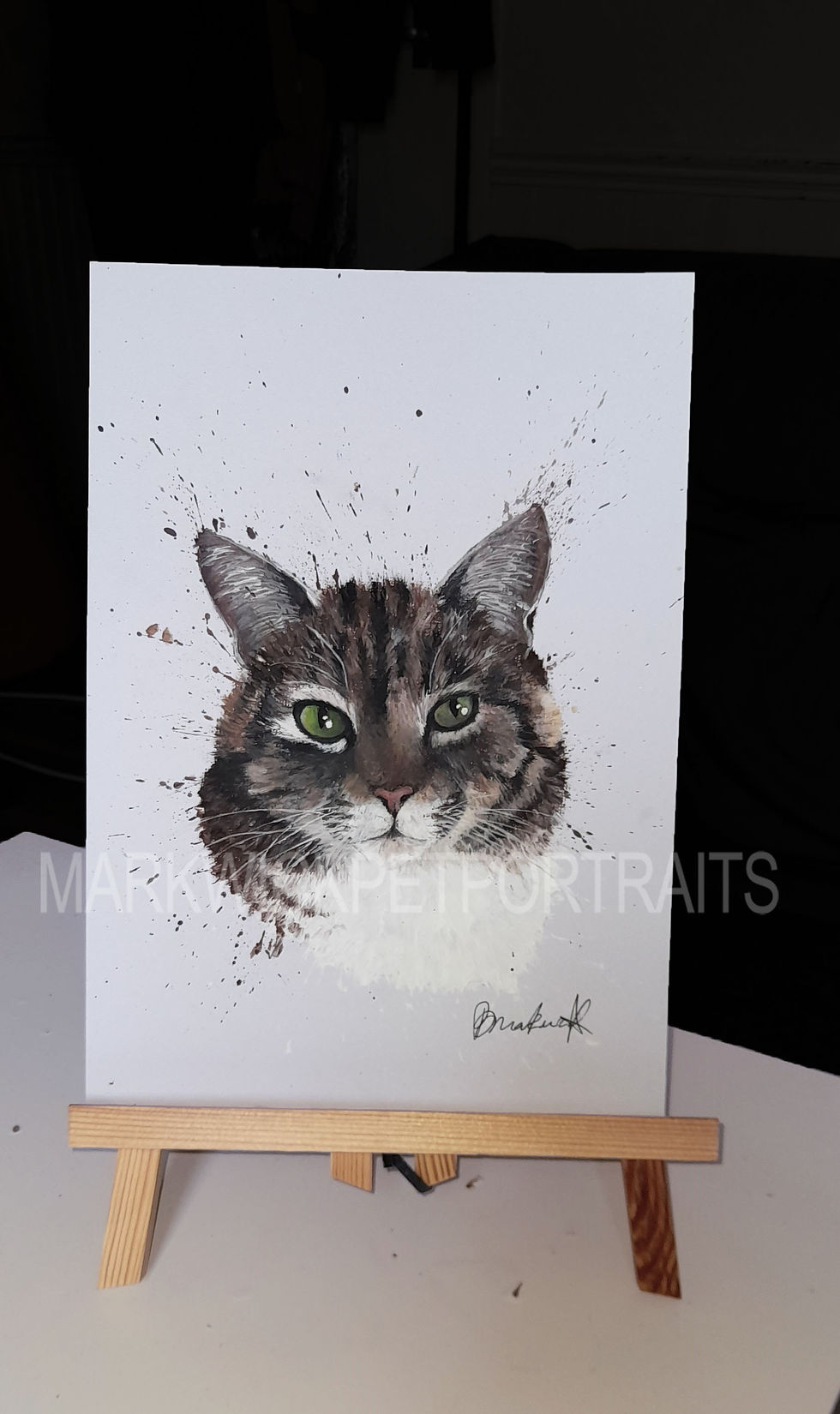 'Green eyes' cat