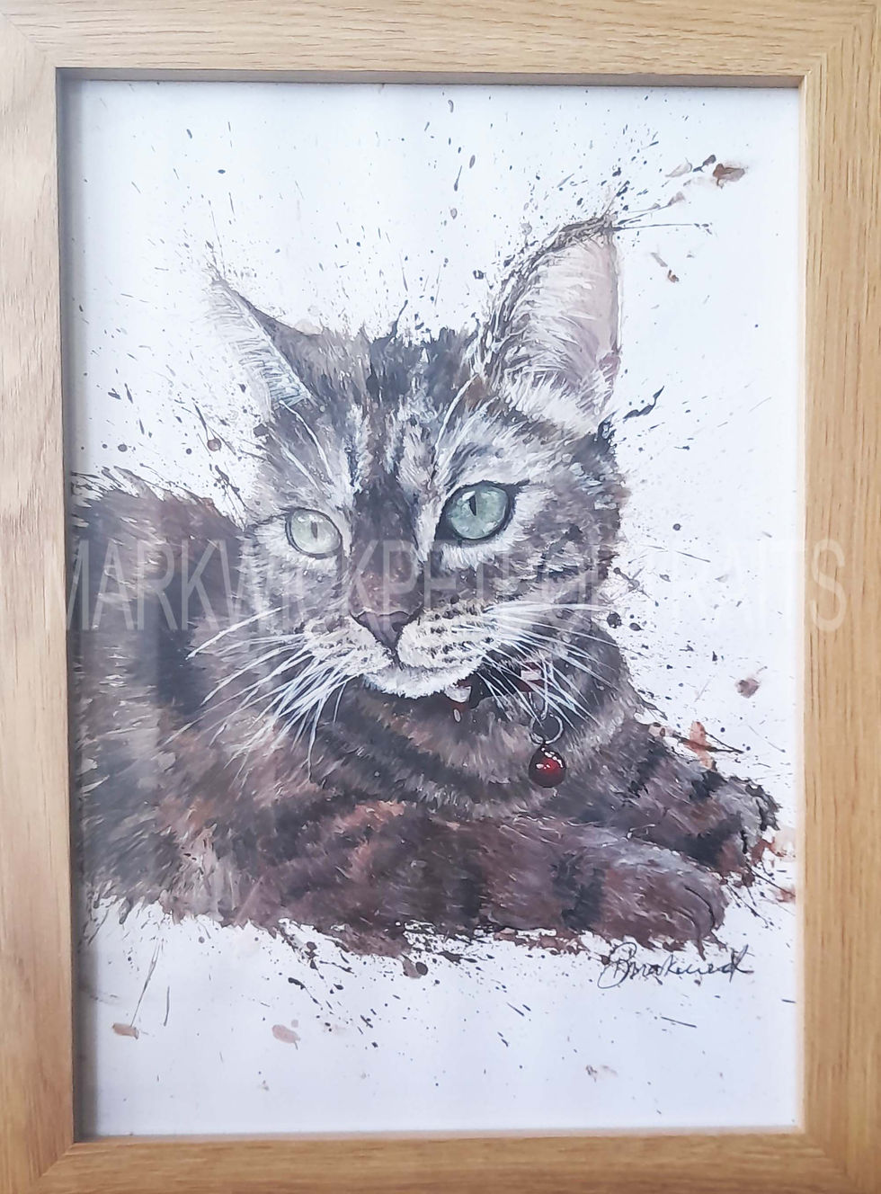 Brown Tabby Cat