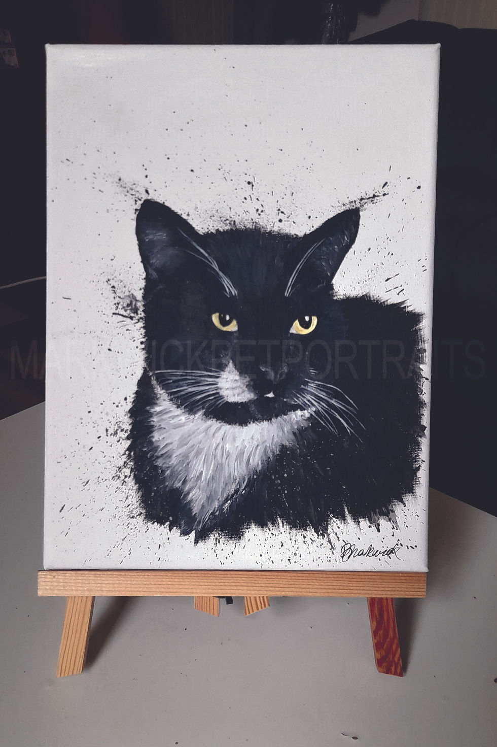 Black and White Cat