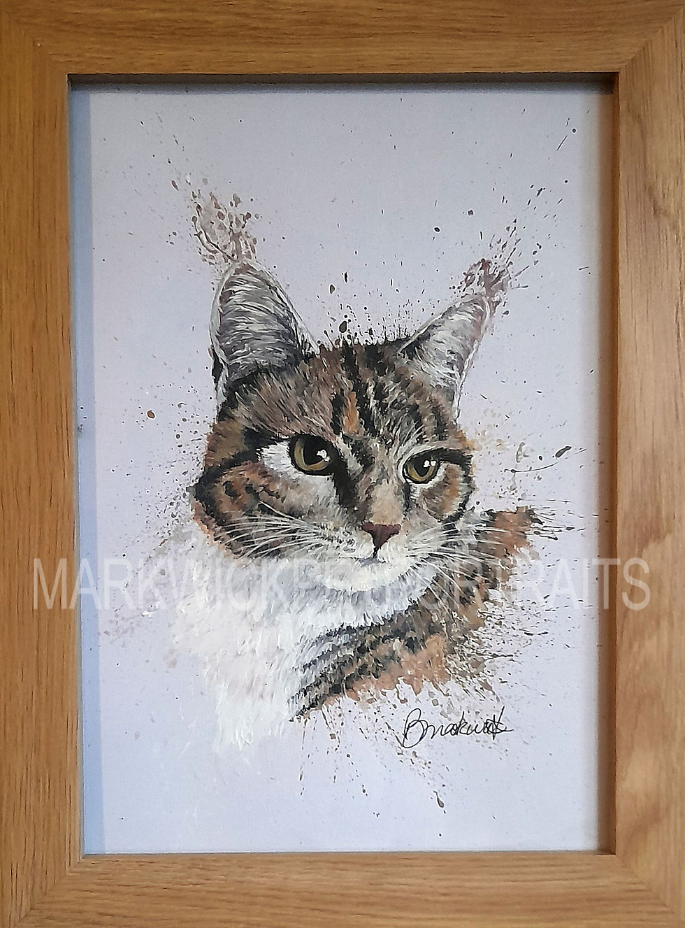 Tabby Cat