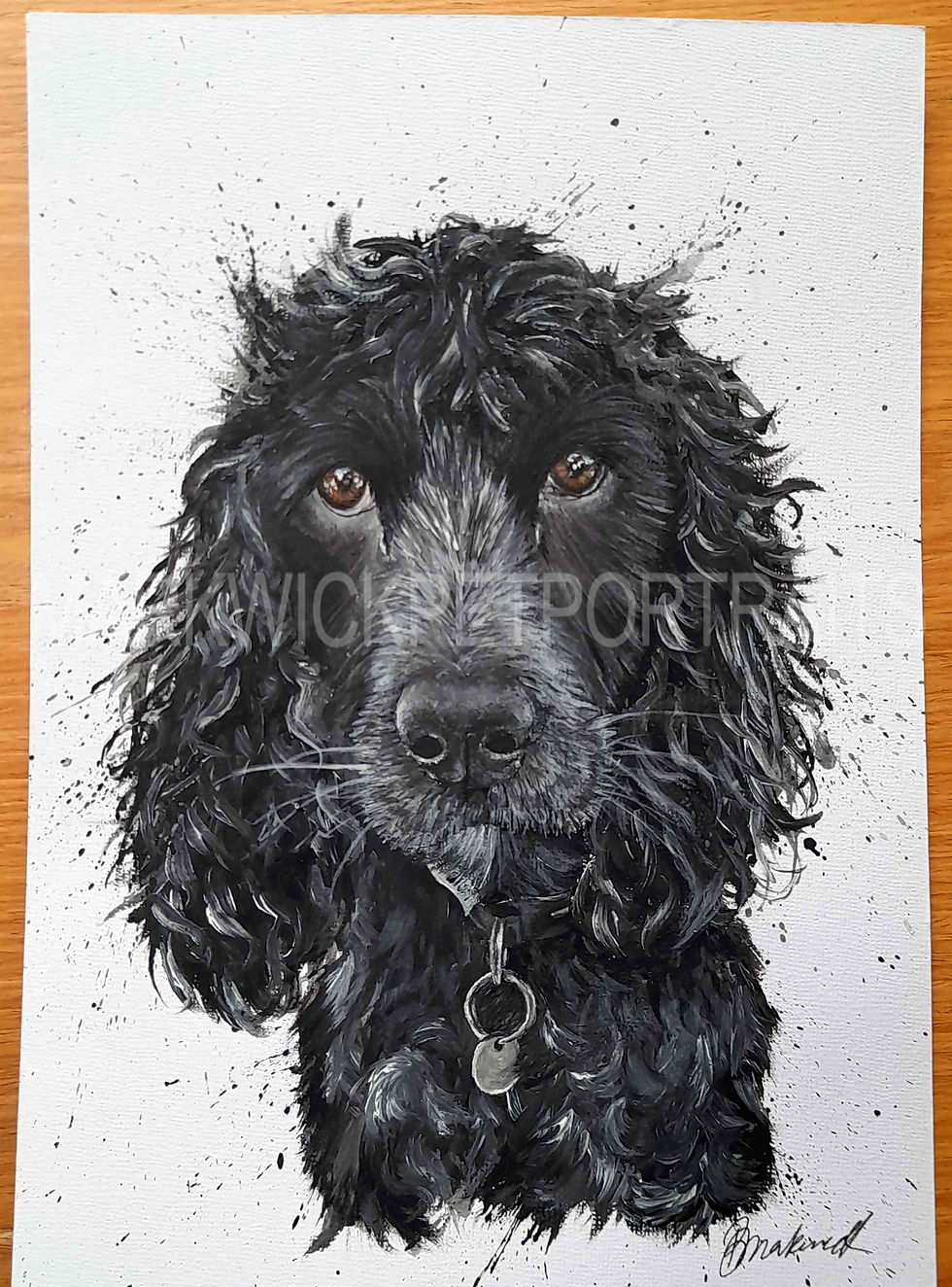 black spaniel dog