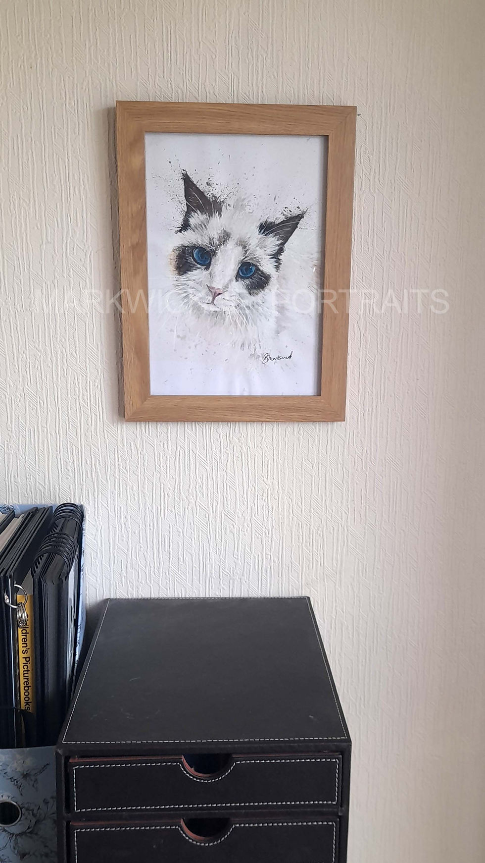 Ragdoll Cat