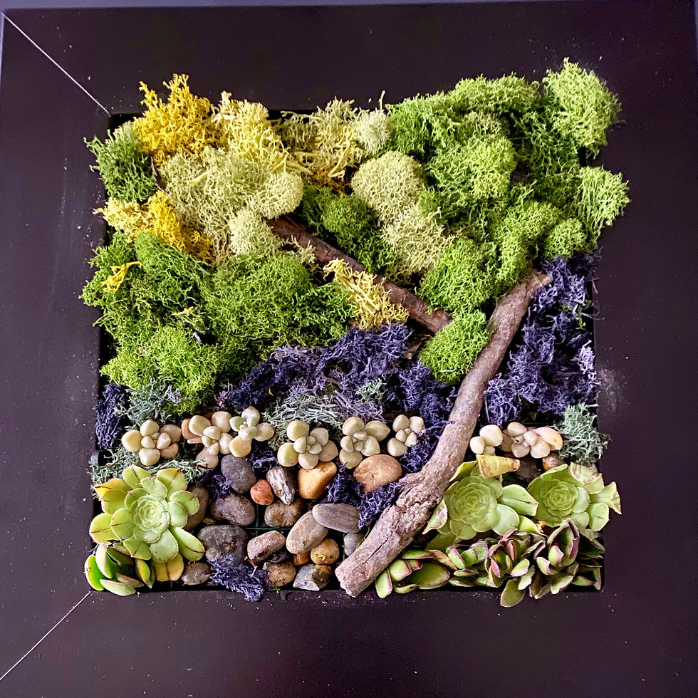 Moss and SUCCULENT Vertical Garden