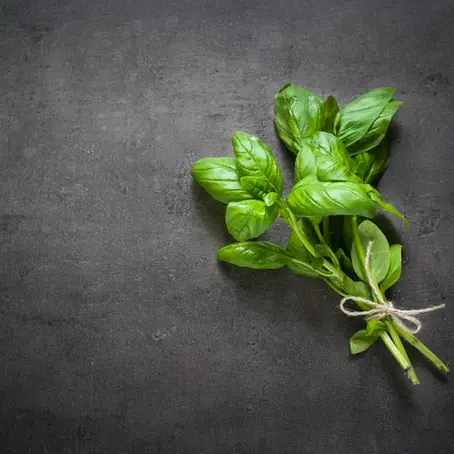 Essential Kitchen Herbs for Your Home Medicinal Garden