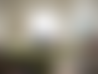 Force & Flow Athlete Blog FAQs