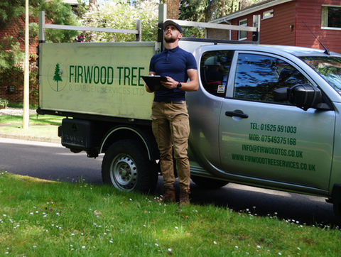 Tree Surgeon Inspection