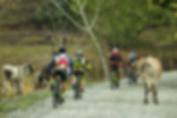 PC12AR-COL2019-DAY-02-5-01.jpeg